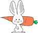 うさぎ