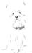 犬