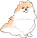 わんこ