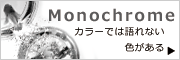 ダウンロード